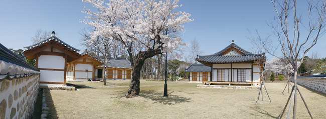 Experience Korean Tea Ceremony At This Beautiful Place In South Korea!