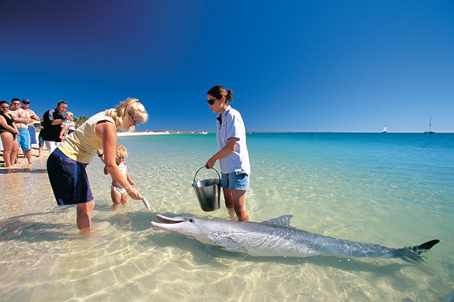 9 Reasons to Spend Your Holidays in Western Australia With Your Children