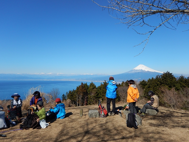 Five Reasons To Embark On A Wild Japanese Adventure!
