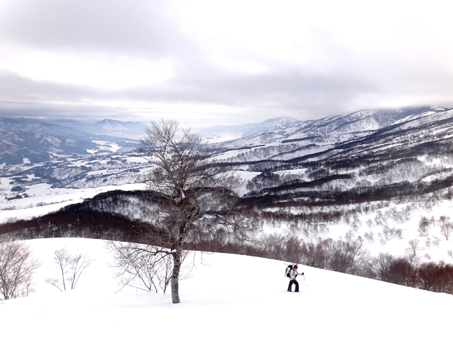 Five Reasons To Embark On A Wild Japanese Adventure!