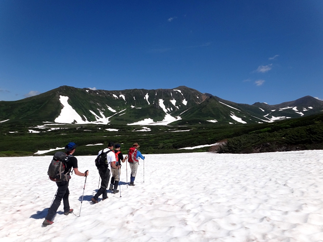 Five Reasons To Embark On A Wild Japanese Adventure!