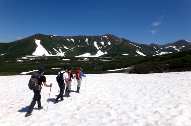 FIVE REASONS TO EMBARK ON A WILD JAPANESE ADVENTURE!