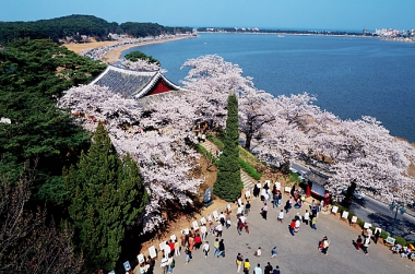 7 MUST VISIT TOURIST ATTRACTIONS IN GANGNEUNG!