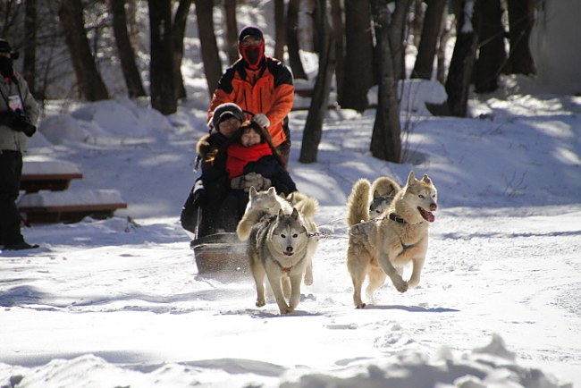 4 Best Winter Festivals To Visit In Gangwon-do!