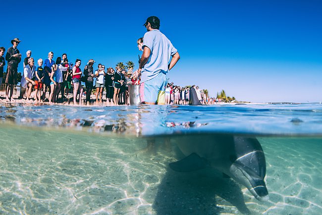 4 Extraordinary Experiences At Western Australia’s Coral Coast!