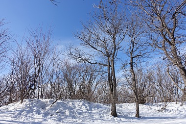 4 REASONS WHY GANGWON PROVINCE IS THE TOP DESTINATION IN KOREA