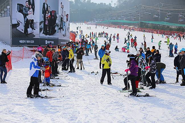 Top 4 Ski Camps In South Korea That Teaches You How To Ski Like A Pro!