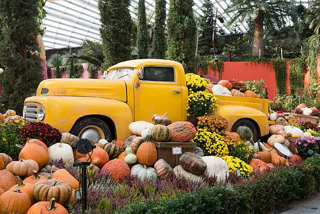 This Place In Singapore Is Celebrating Autumn Like No Other!