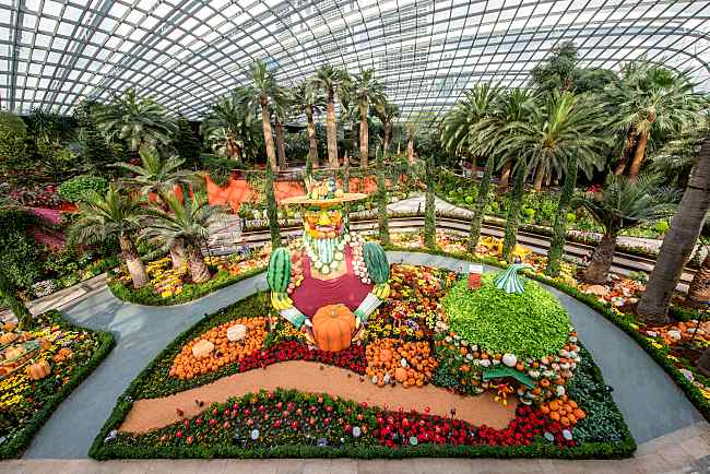This Place In Singapore Is Celebrating Autumn Like No Other!