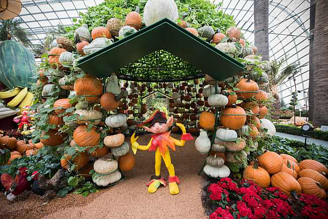 This Place In Singapore Is Celebrating Autumn Like No Other!