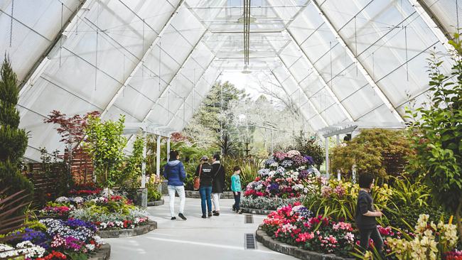 Top 8 Places To See Flowers Blooming This Spring In Victoria!