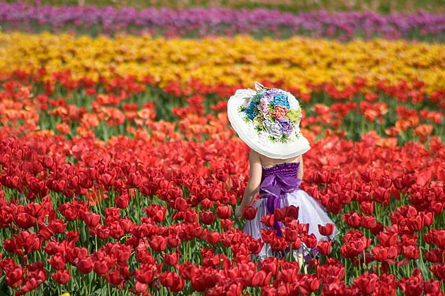 Top 8 Places To See Flowers Blooming This Spring In Victoria!