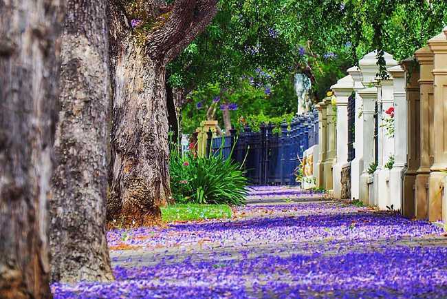 How To Enjoy Spring In South Australia?