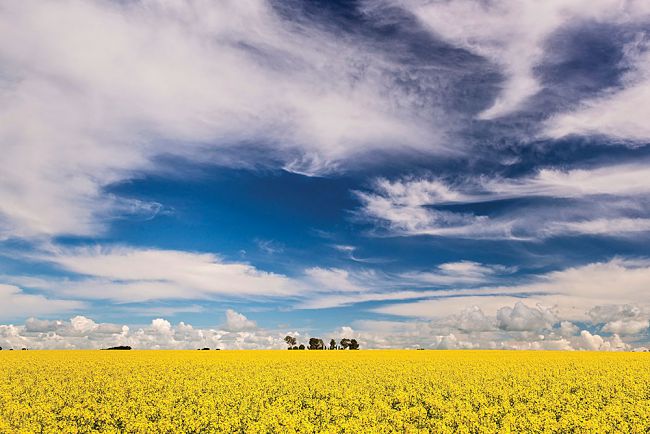 How To Enjoy Spring In South Australia?