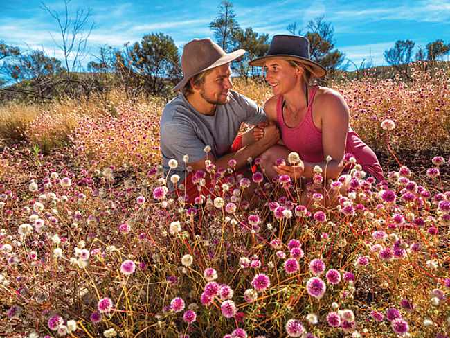 5 Awesome Trails To Explore During The Wildflower Season Of Western Australia!