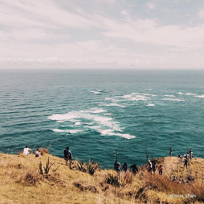 5 Must-Do Experiences In New Zealand That Are FREE!