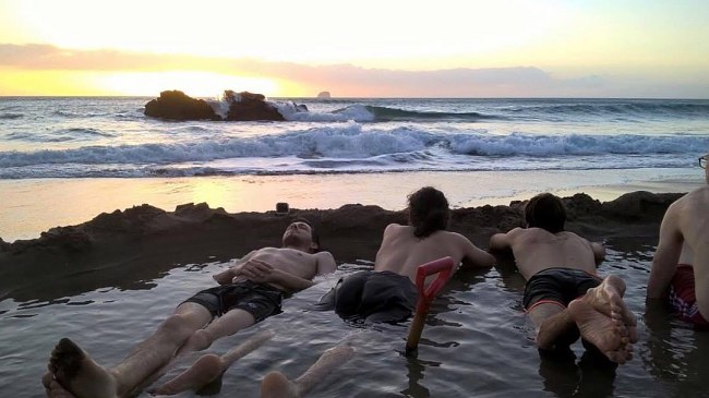 4 More Must-Dos n New Zealand That Are Absolutely Free!
