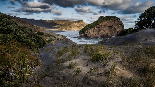 4 More Must-Dos n New Zealand That Are Absolutely Free!