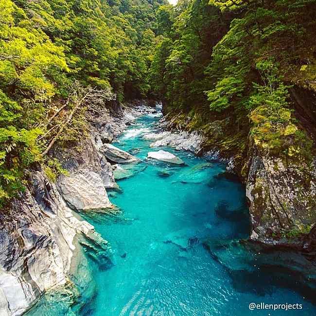 4 More Must-Dos n New Zealand That Are Absolutely Free!