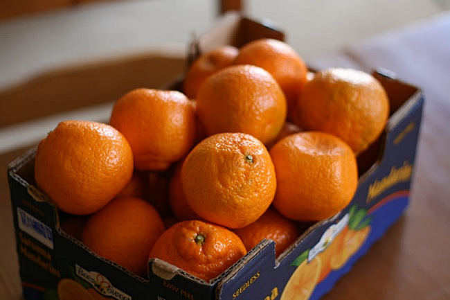 6 Gems Of Ehime, Shikoku.