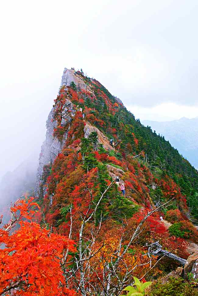 6 Gems Of Ehime, Shikoku.