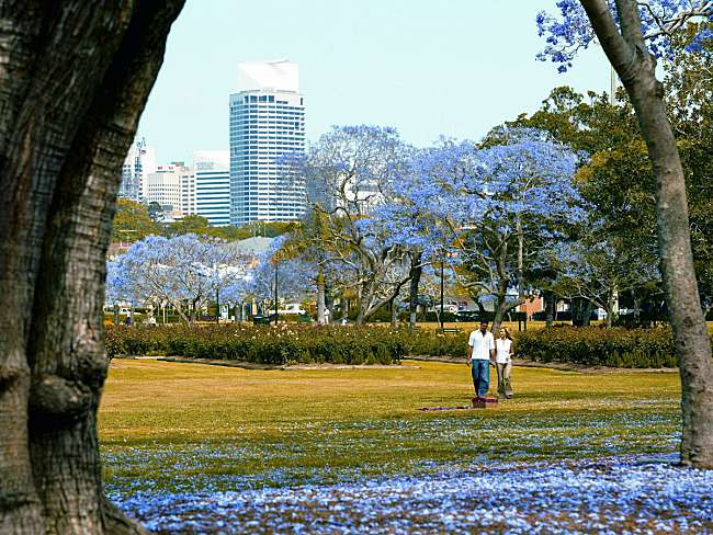 8 Awesome Things To Do At Night In Brisbane