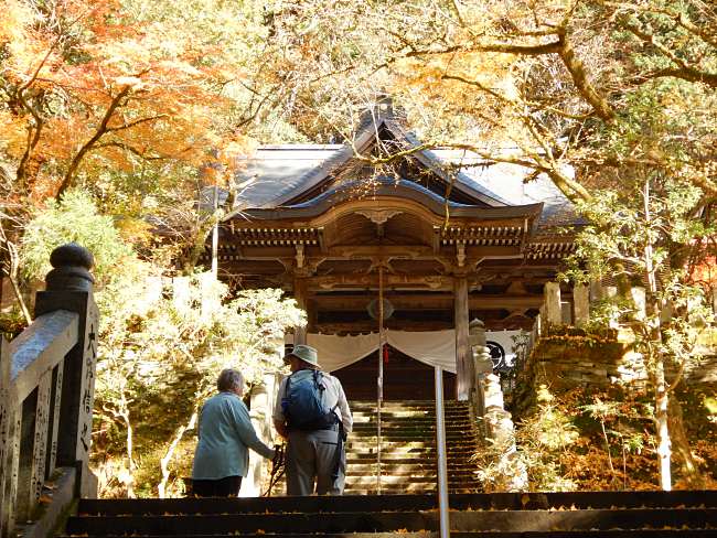 4 Magnificent Places To Visit This Autumn In Japan!