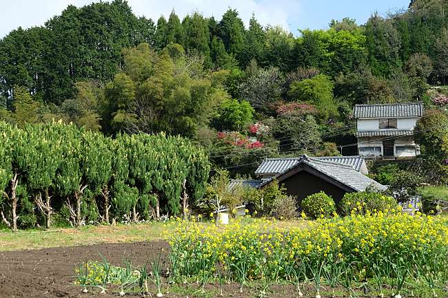 4 Magnificent Places To Visit This Autumn In Japan!
