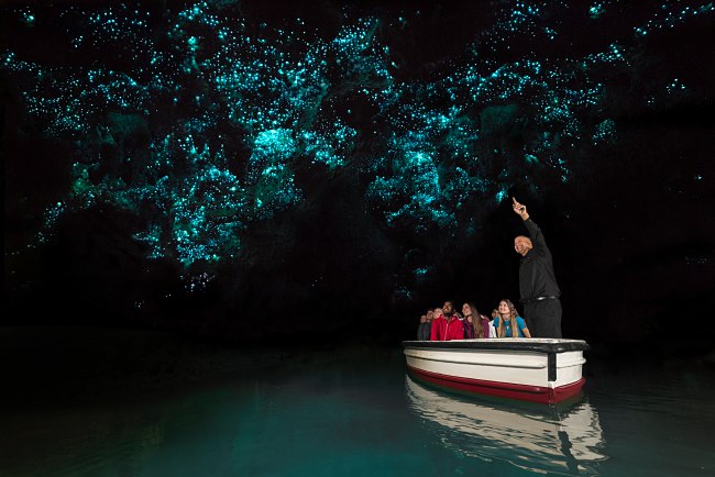 Places To Go On a 5 Days Self Drive Trip In Auckland Rotorua, New Zealand