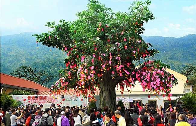 8 ways to embrace the Lunar New Year in Hong Kong