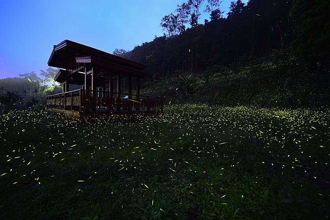 11 Beautiful Pictures Will Make You Want To Visit This Tea House In Taiwan.