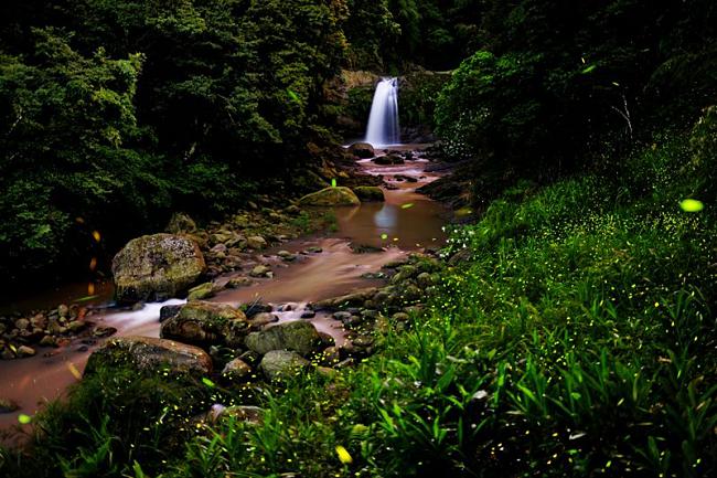 11 Beautiful Pictures Will Make You Want To Visit This Tea House In Taiwan.