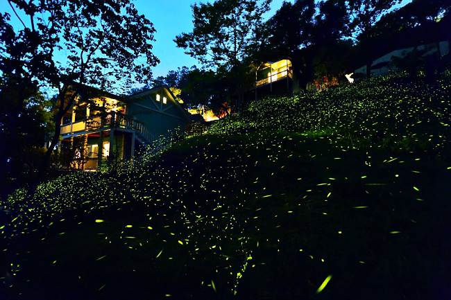 11 Beautiful Pictures Will Make You Want To Visit This Tea House In Taiwan.