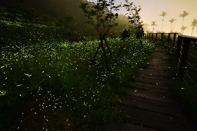 11 Beautiful Pictures Will Make You Want To Visit This Tea House In Taiwan.