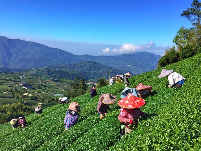 11 Beautiful Pictures Will Make You Want To Visit This Tea House In Taiwan.