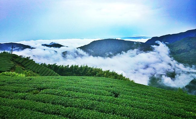 11 Beautiful Pictures Will Make You Want To Visit This Tea House In Taiwan.