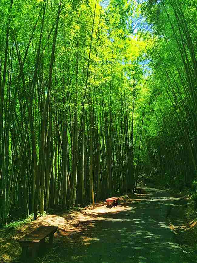 3 Awesome Places To Stay In Taiwan!