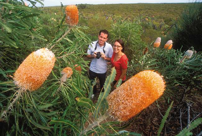 4 Day Trips and Short Adventures in Western Australia