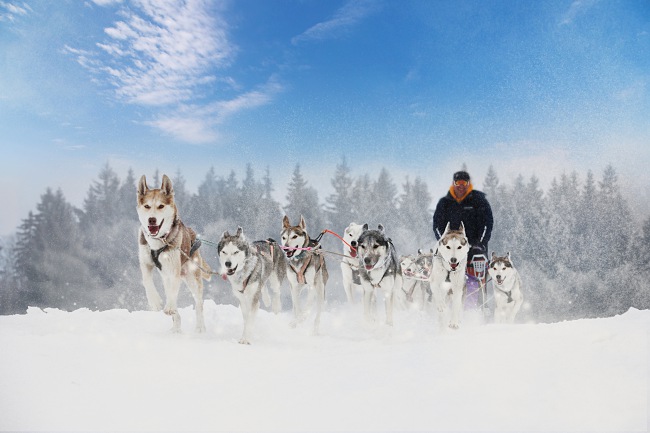 5 Seriously Special Experiences You Should Know!