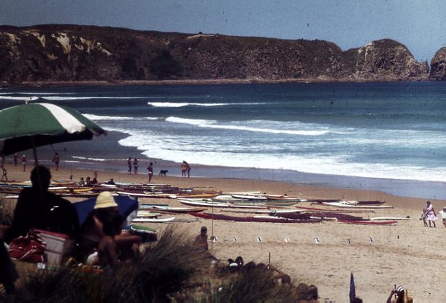 Top 10 Reasons To Visit Phillip Island
