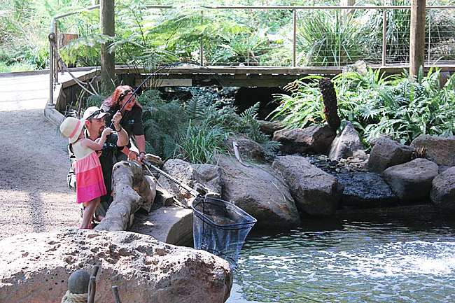 Top 10 Reasons To Visit Phillip Island