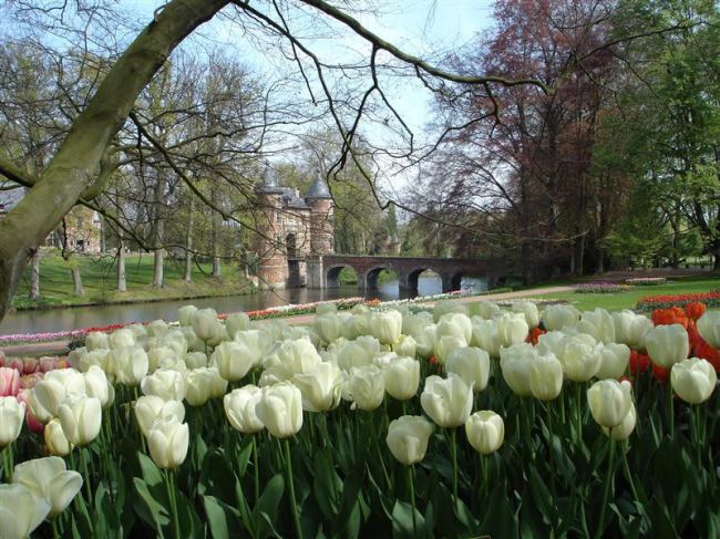 4 Best European Summer Blooms You Must Visit!