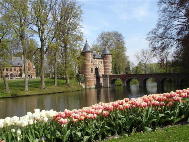 4 Best European Summer Blooms You Must Visit!