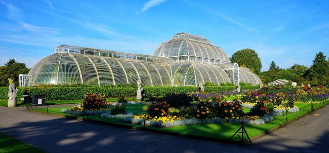 4 Best European Summer Blooms You Must Visit!