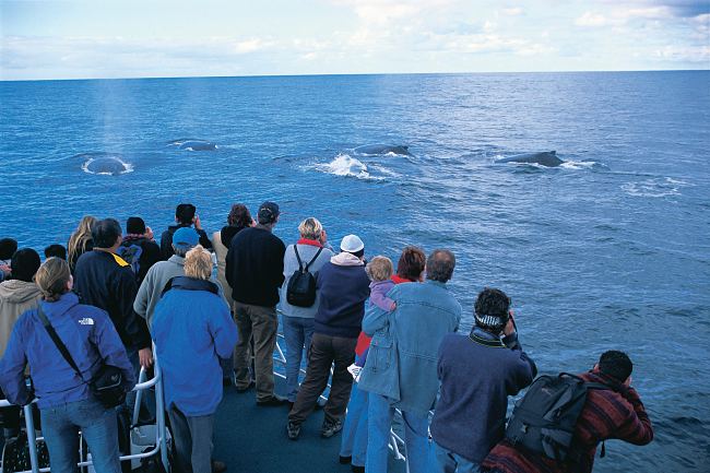 Discover extraordinary water-based adventures and explore secret beaches in Western Australia!