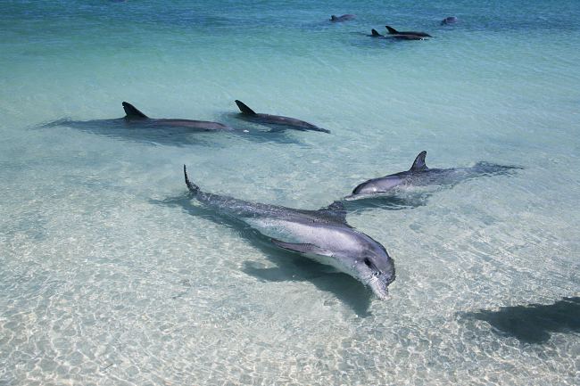 Discover extraordinary water-based adventures and explore secret beaches in Western Australia!