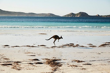 DISCOVER EXTRAORDINARY WATER-BASED ADVENTURES AND EXPLORE SECRET BEACHES IN WESTERN AUSTRALIA!