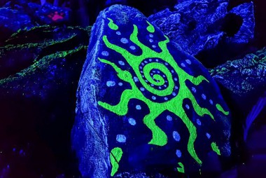 EXPERIENCE THE MAGIC OF NATURE ILLUMINATED!