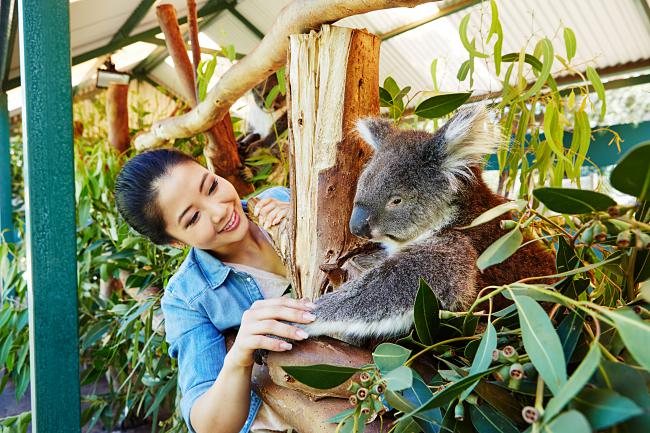 ManU In Perth:  4 Fan Activities You Can Participate!
