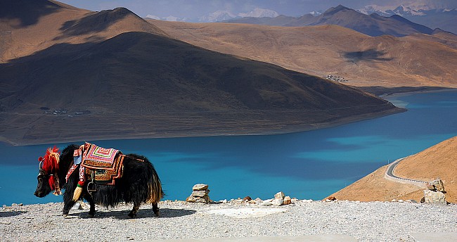7 Magnificent Photos Of Tibet Will Make You Want To Book It For Your Next Travel Plan!